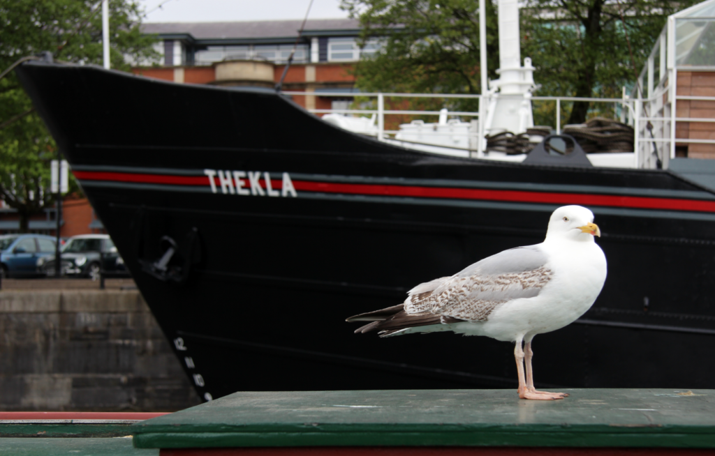 i graffiti di Banksy a Bristol: THEKLA BOAT