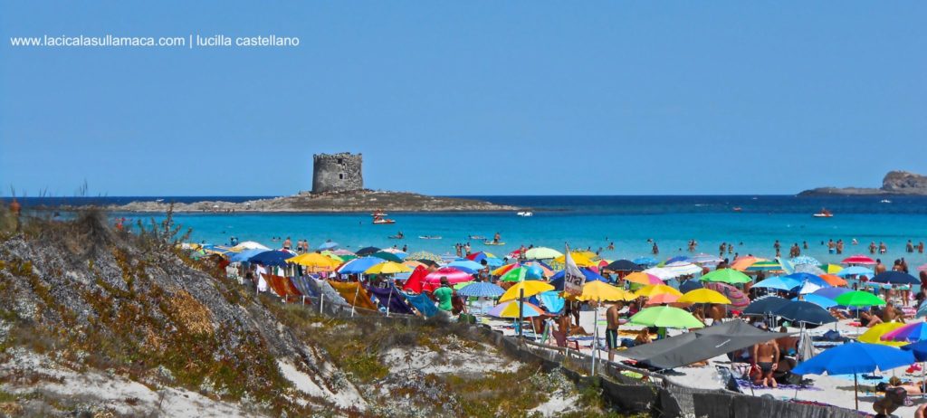 Sardegna-spiaggia di Stintino Sardegna-mare-Stintino