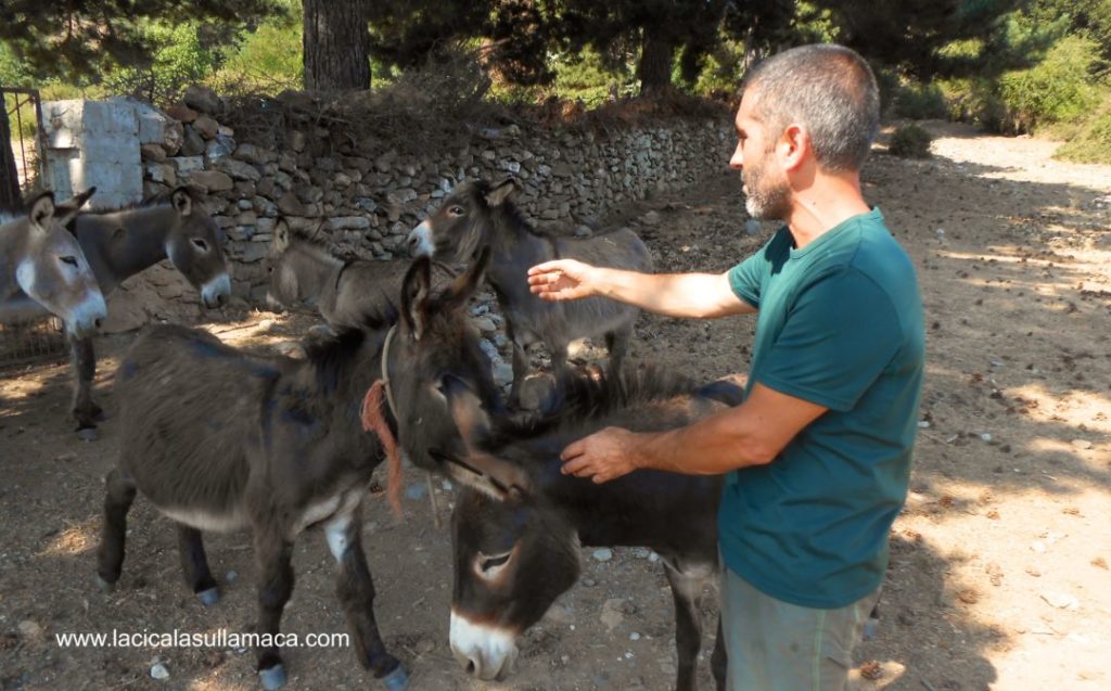 Barbagia tradizioni Sardegna