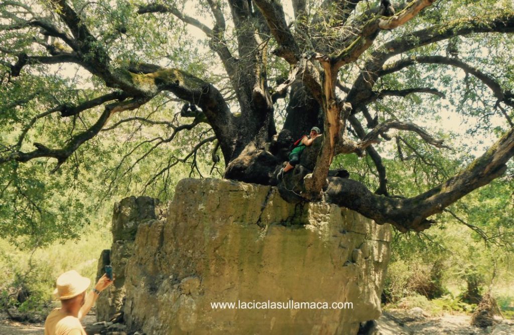 Barbagia tradizioni Sardegna
