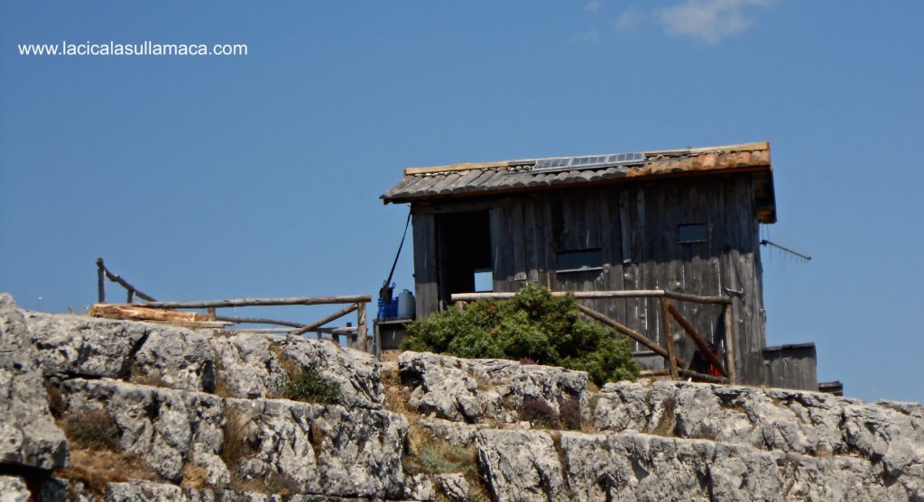 Barbagia tradizioni Sardegna