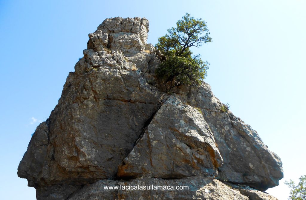 Barbagia tradizioni Sardegna
