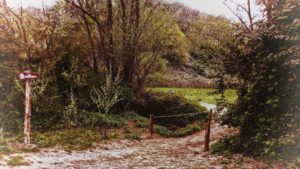 Tratto della via Francigena nella Riserva dell'Insugherata