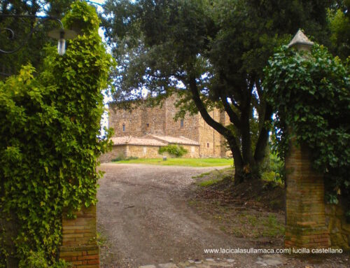 Montalcino, dove l’arte incontra il vino. Visita al Castello Romitorio